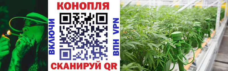 Купить наркоту Аркадак Галлюциногенные грибы  Гашиш  omg ссылки  КОКАИН  СК  Канабис 