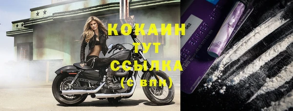скорость Алзамай