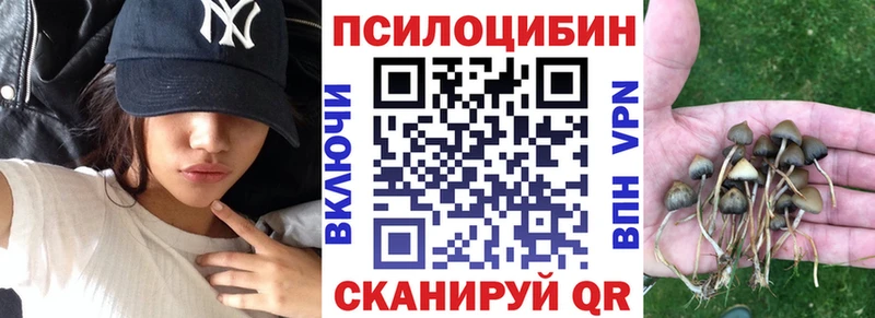 Псилоцибиновые грибы Psilocybe  сколько стоит  Аркадак 